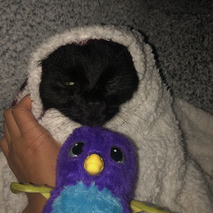 Meet your Posher, Megan